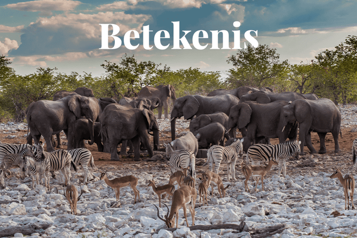 10 vital ecosystem services_wildlife crowd around a watering hole in Etosha National Park_visual 1_NL