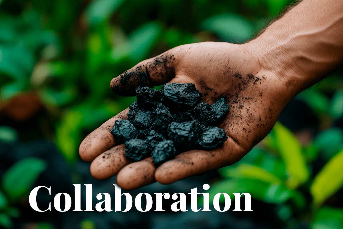 100924_Corporate-buyers-gain-access-to-2024-biochar-credits-through-Supercritical-Exomad-deal_hand holding biochar_news_visual-1