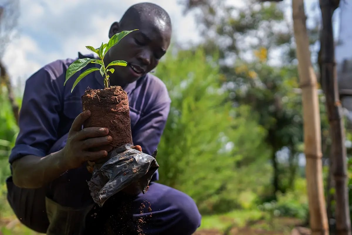 86_ of the Spanish stock market plans to become carbon neutral_DGB team member working in a tree nursery_visual 3