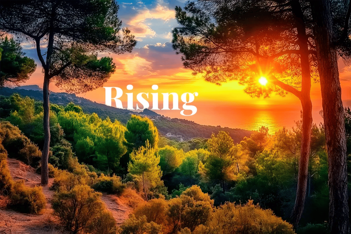 86_ of the Spanish stock market plans to become carbon neutral_Sunrise over a serene Spanish Mediterranean coastal forest_visual 1