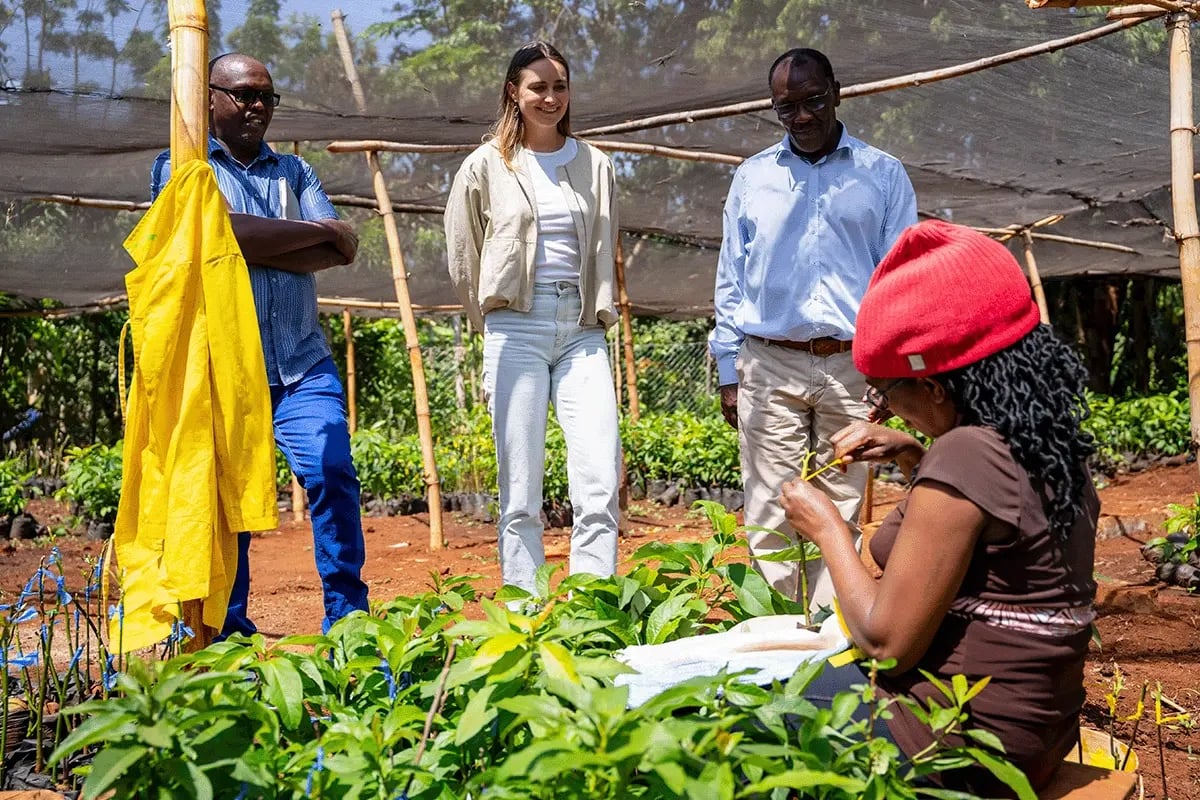 A firsthand look at our impact in Kenya_DGB team members learning about avocado grafting_visual 3