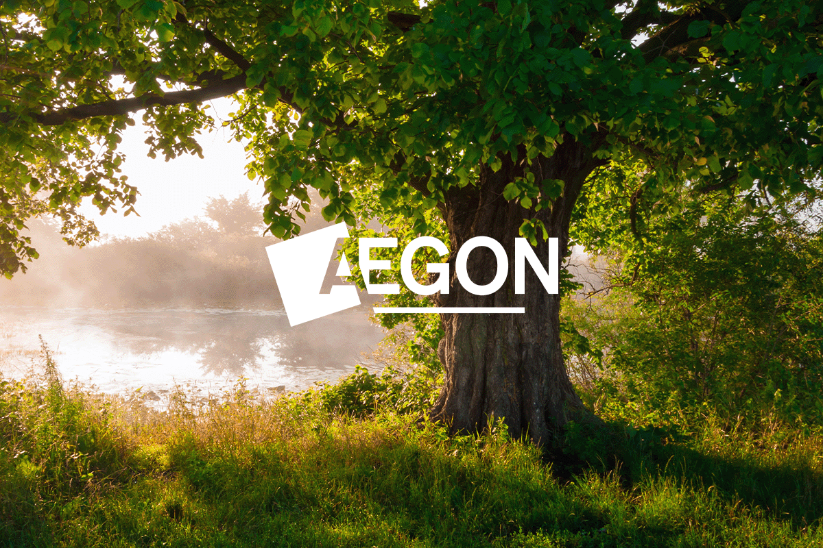 Aegon_case study_visual 1