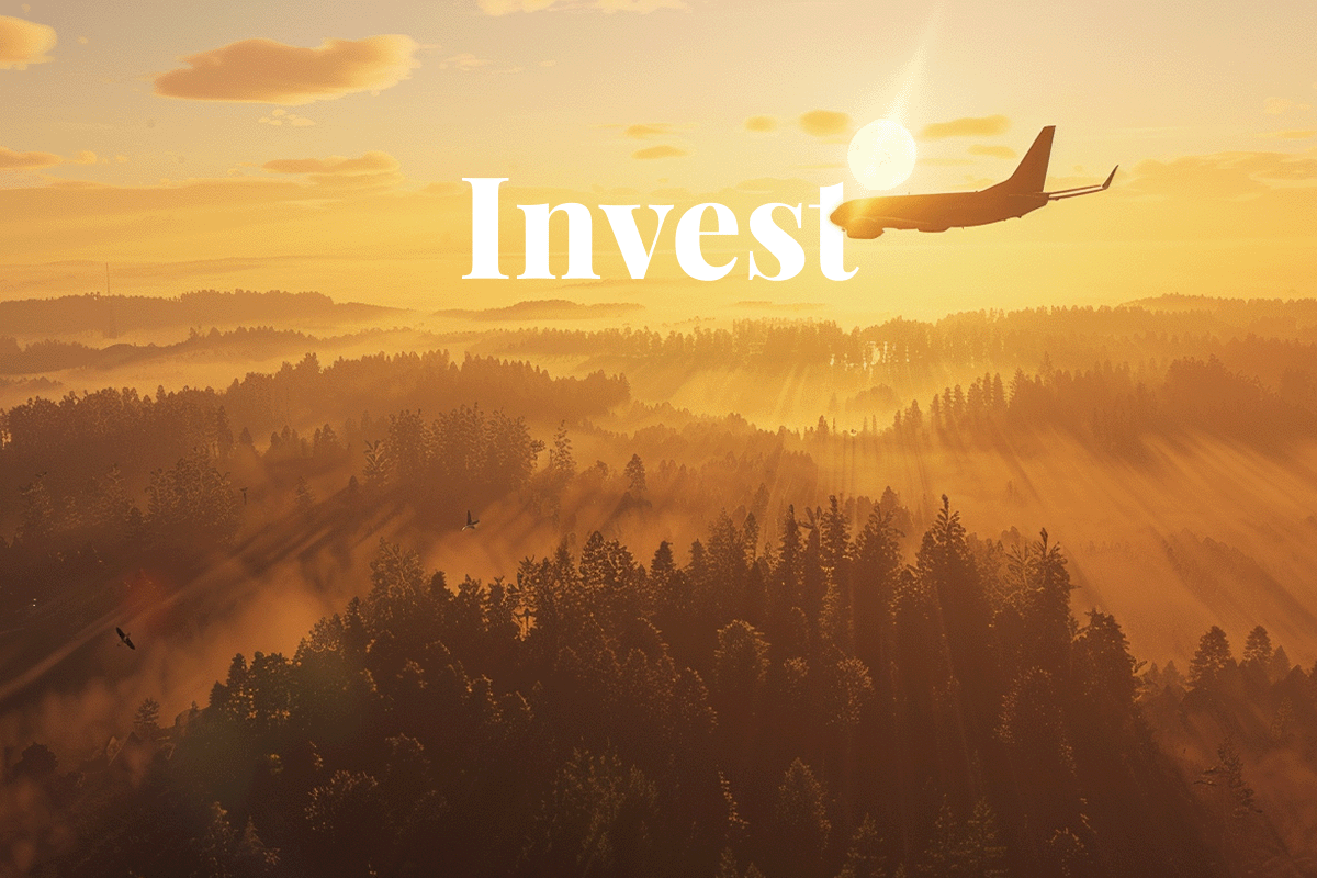 Airlines to invest $600 million in carbon offsets for 2024_A plane flying towards the sun above a forest. AI generated picture_visual 1