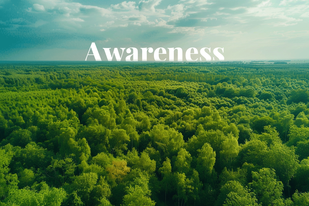 Aligning with CSRD_ the smart move for future-proofing your business_Aerial view of a deciduous forest and the Earths horizon_visual 1