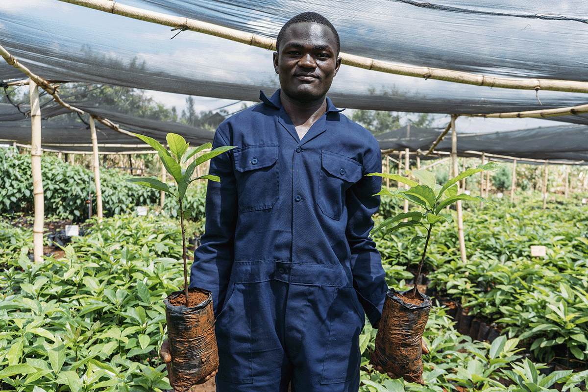 Aligning with CSRD_ the smart move for future-proofing your business_DGB team member working in a tree nursery_visual 5