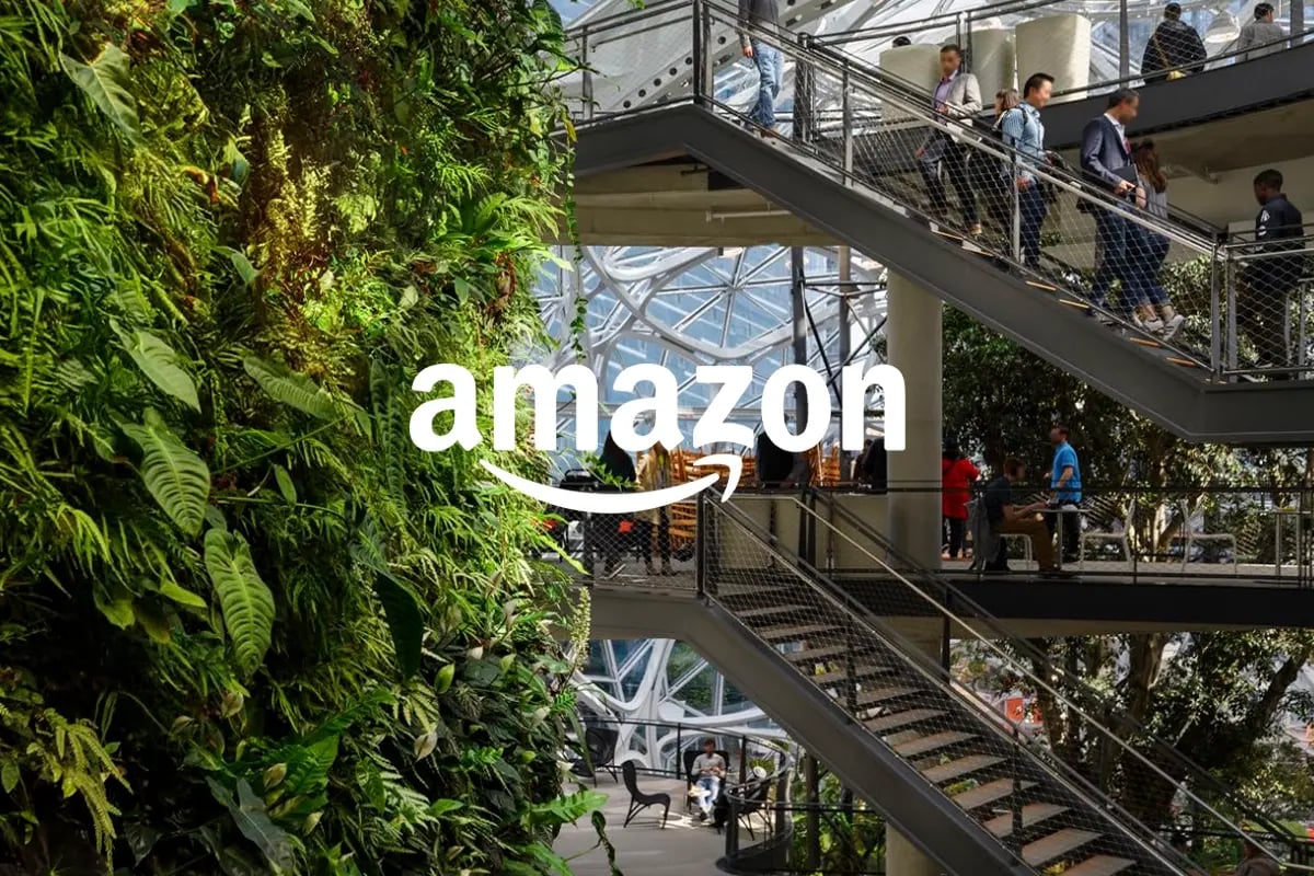 Amazon_ how nature-based solutions drive net-zero carbon goals_The vibrant biodiversity of Amazon Spheres Living Wall, where over 25,000 plants create stunning living walls_visual 1