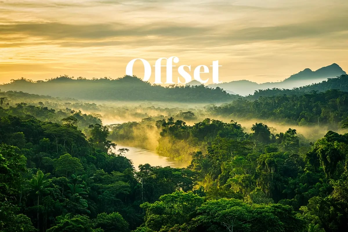 Apple retires first jurisdictional carbon credits in landmark offset move_A view of Guyana’s Amazon rainforest, featuring lush green canopies, diverse tropical flora, and a winding river through the dense jungl