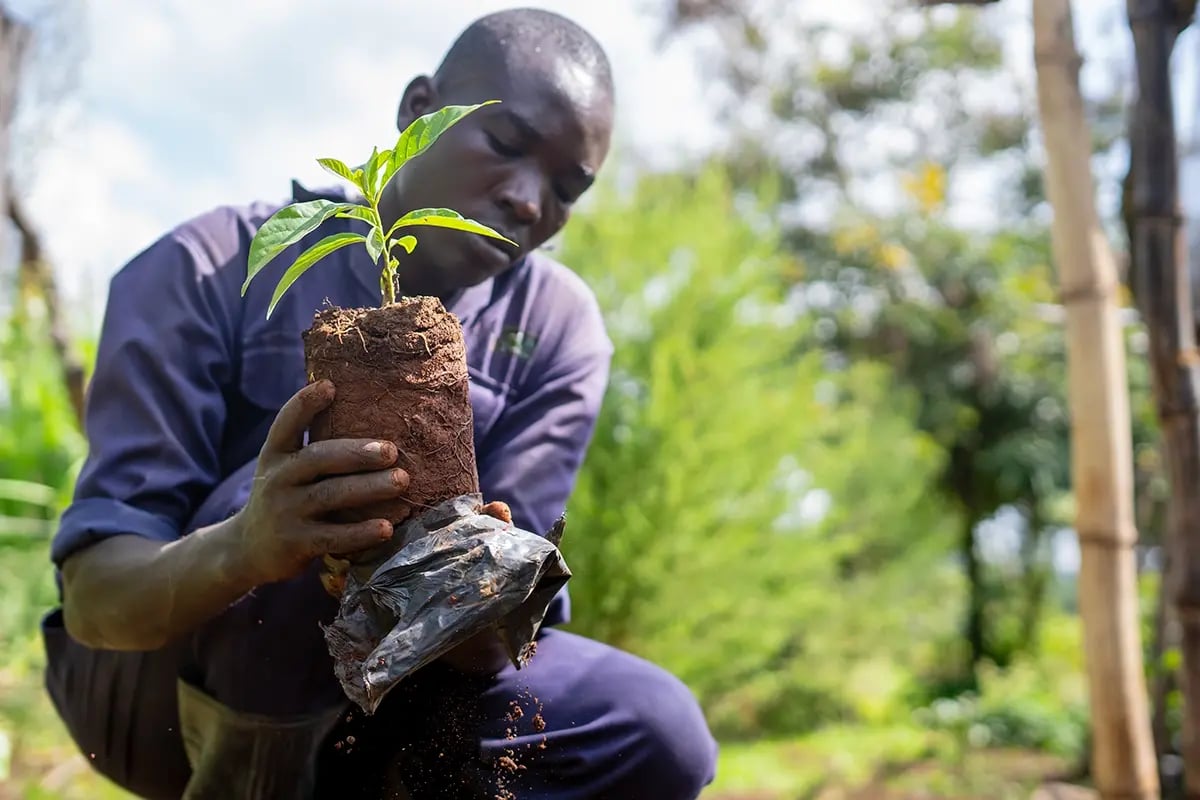 Belgium’s leading firms in carbon compensation efforts_DGB team member working in a tree nursery in Kenya_visual 7