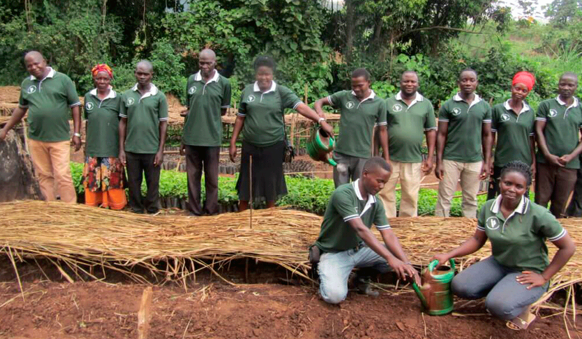 Bulindi-Chimpanzee-Habitat-Restoration-ProjectBulindi-Chimpanzee-Habitat-Restoration_community-collaboration