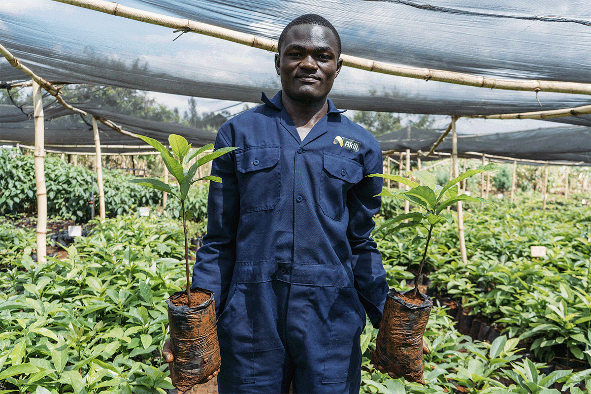 CEO Selwyn Duijvestijn features on Dutch TV to discuss nature-based solutions_A local man during a work in a tree nursery in Kenya_visual 1