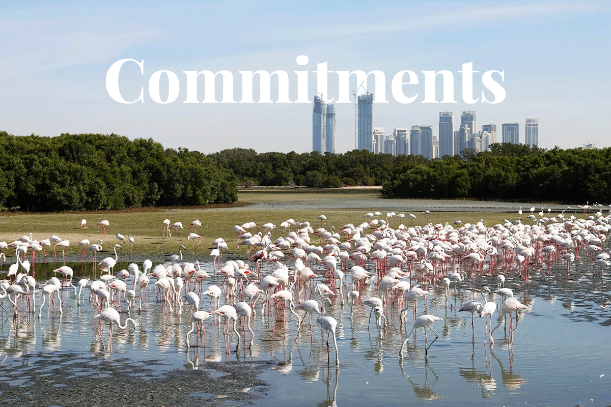 COP28 wrapped up_ navigating environmental commitments_flamingos at Ras al Khor wildlife sanctuary in Dubai_visual 1