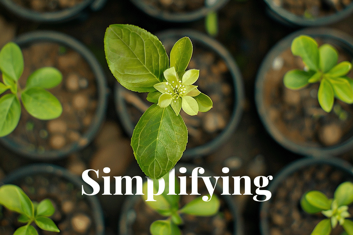 CSRD Essentials simplifying EU sustainability reporting_Close-up of a tree seedling with a blooming flower in a tree nursery_visual 1