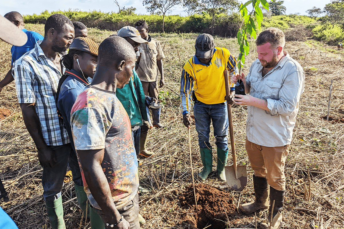 Cameroon afforestation project_Tree planting by Nicholas Wall and local people as a part of Sawa Afforestation Project in Cameroon_visual 2