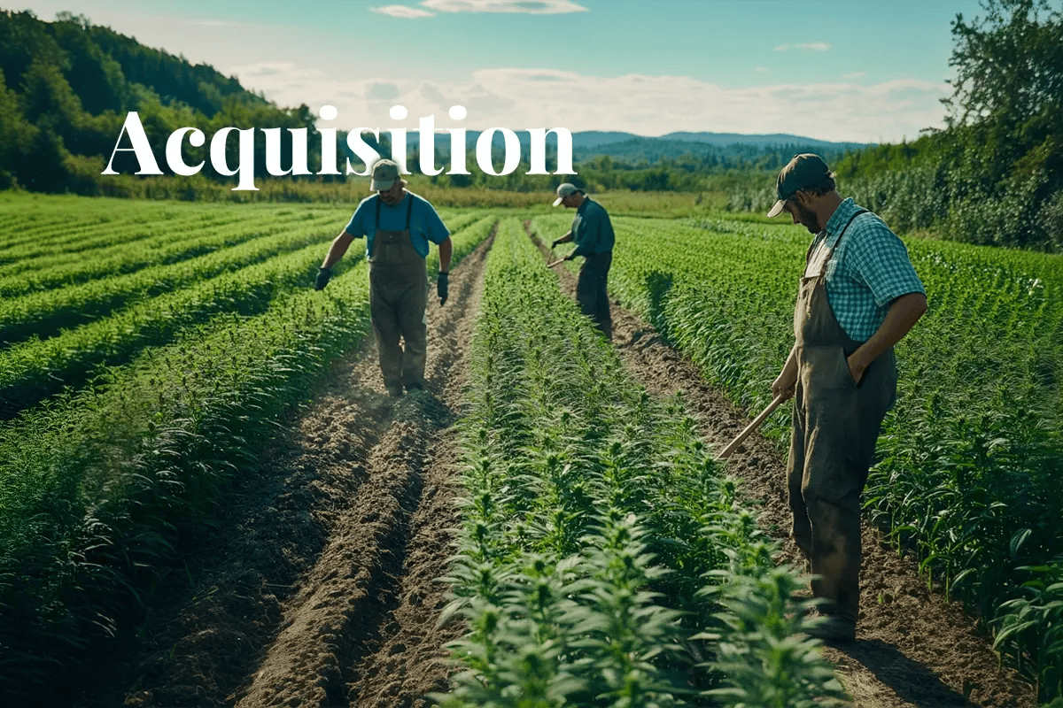 Canadian hemp firm takes full control of carbon platform_Farmers working in an industrial hemp field in Canada_visual 1