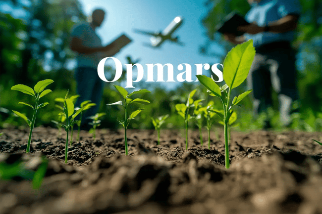 Carbon credit demand drove $16B market boom in 2024_A close up of many young tree seedlings, with workers in the background checking their condition, and a plane flying overhead_visual 1_NL