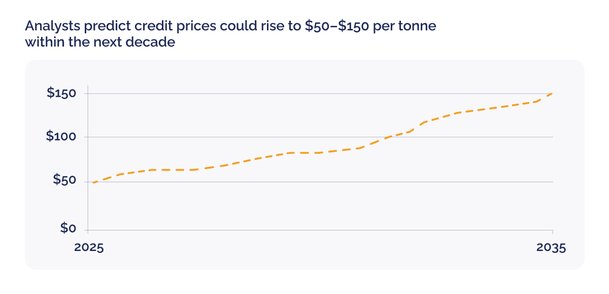 Carbon project financing, why carbon finance is the smartest bet for future proof investing_The graph illustrates analysts predictions that credit prices could rise to $50–$150 per tonne within the next decade