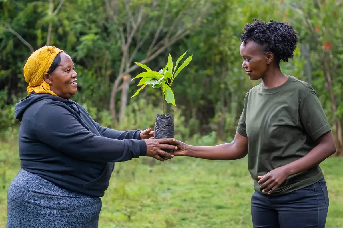 Carbon project financing, why carbon finance is the smartest bet for future proof investing_Two local women passing each other a tree seedling_visual 4