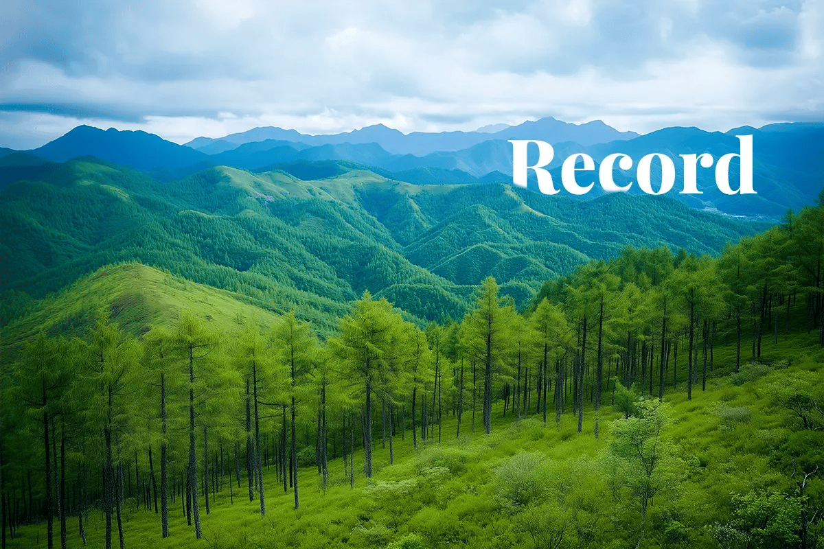 China’s carbon prices hit record high amid compliance deadline pressure_Expansive landscape view of the Greater Khingan Range Forest in China_visual 1