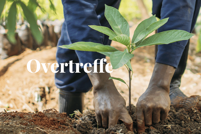 Companies investing in carbon credits outperform peers in environmental action_Close up of a local man planting a tree seedling_visual 1_NL