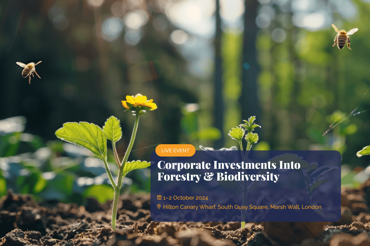 Corporate Investments Into Forestry & Biodiversity_visual 1