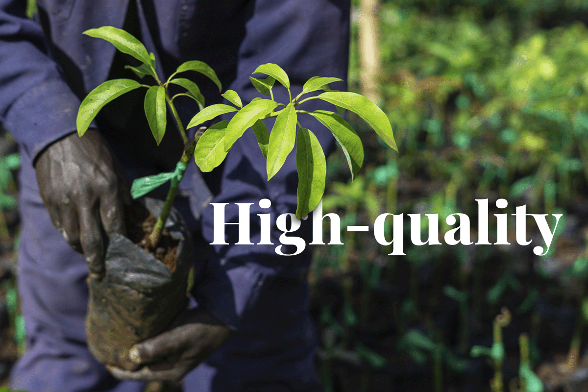 Corporate leaders join VCMI to authenticate high-quality carbon credits_close up on a local man working in a tree nursery_visual 1