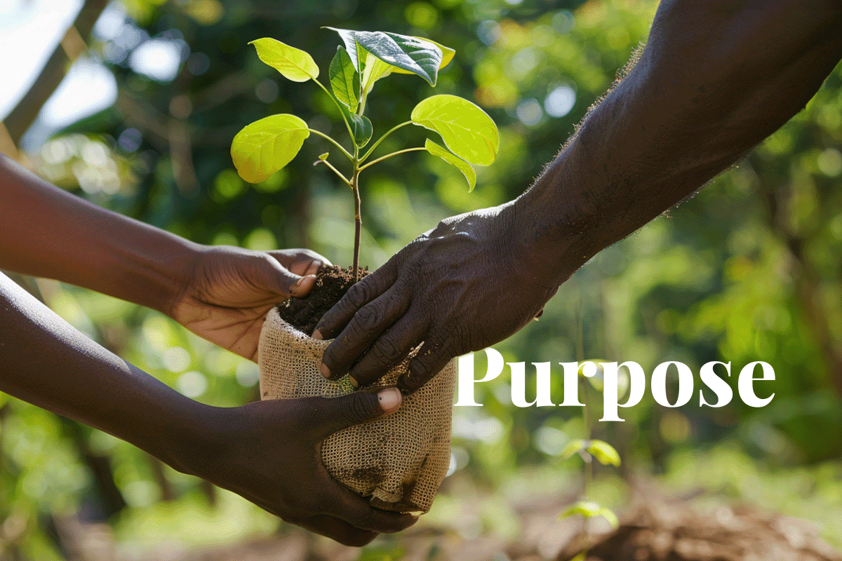 DGB Group launches Impact Loans_Two people are passing around a tree seedling in an African nursery_visual 1