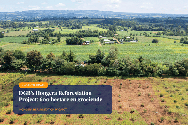 DGB’s Hongera Reforestation Project_ 600 hectares and growing_Drone photo of reforested area of Kenya_visual 1_NL