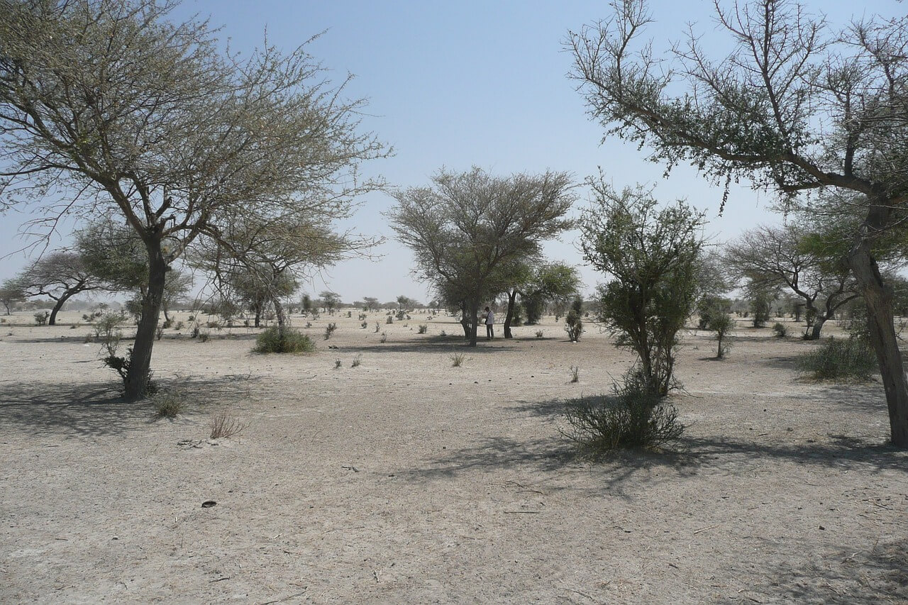 desertification examples
