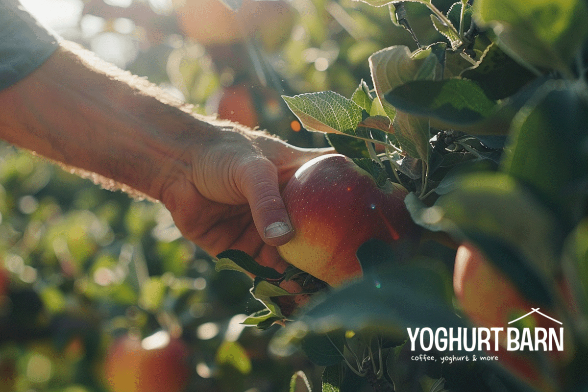 Dutch companies leading the charge in carbon footprint compensation_A man picking an apple from a tree in an orchard_visual 7