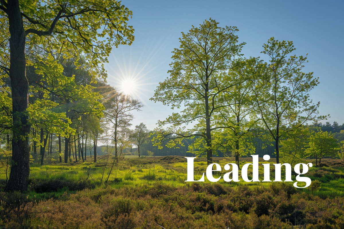 Dutch companies leading the charge in carbon footprint compensation_Spring in De Hoge Veluwe National Park in Netherlands_visual 1