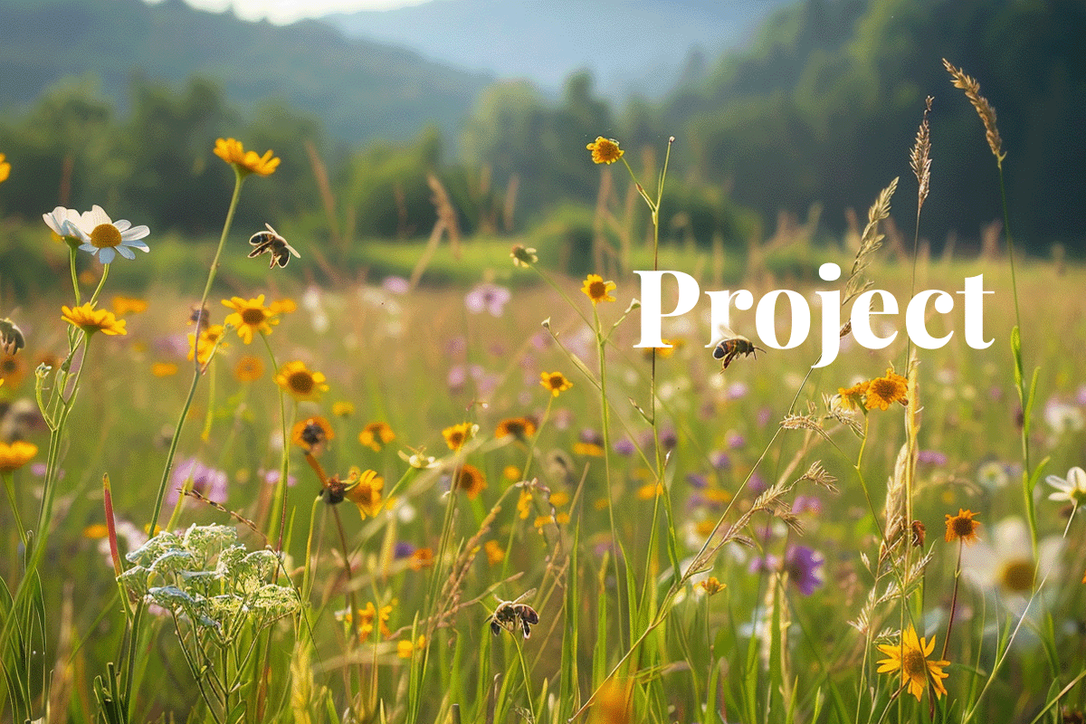 EU funds new project aiming for biodiversity breakthrough in business and policy_View of biodiversity in a meadow during spring_visual 1