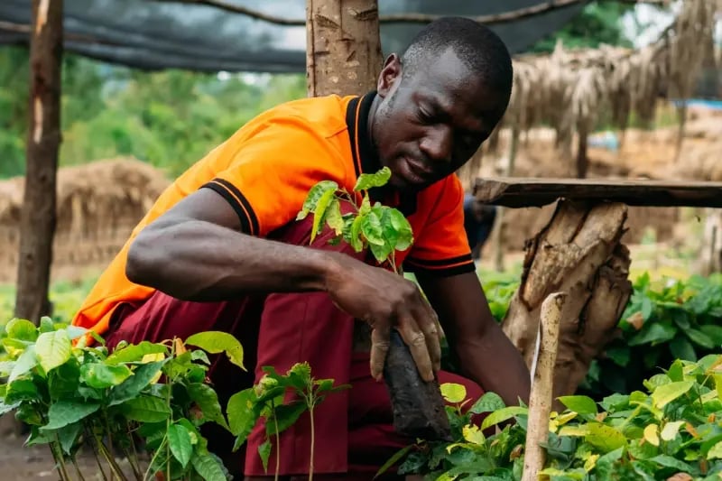 Empowering farmers