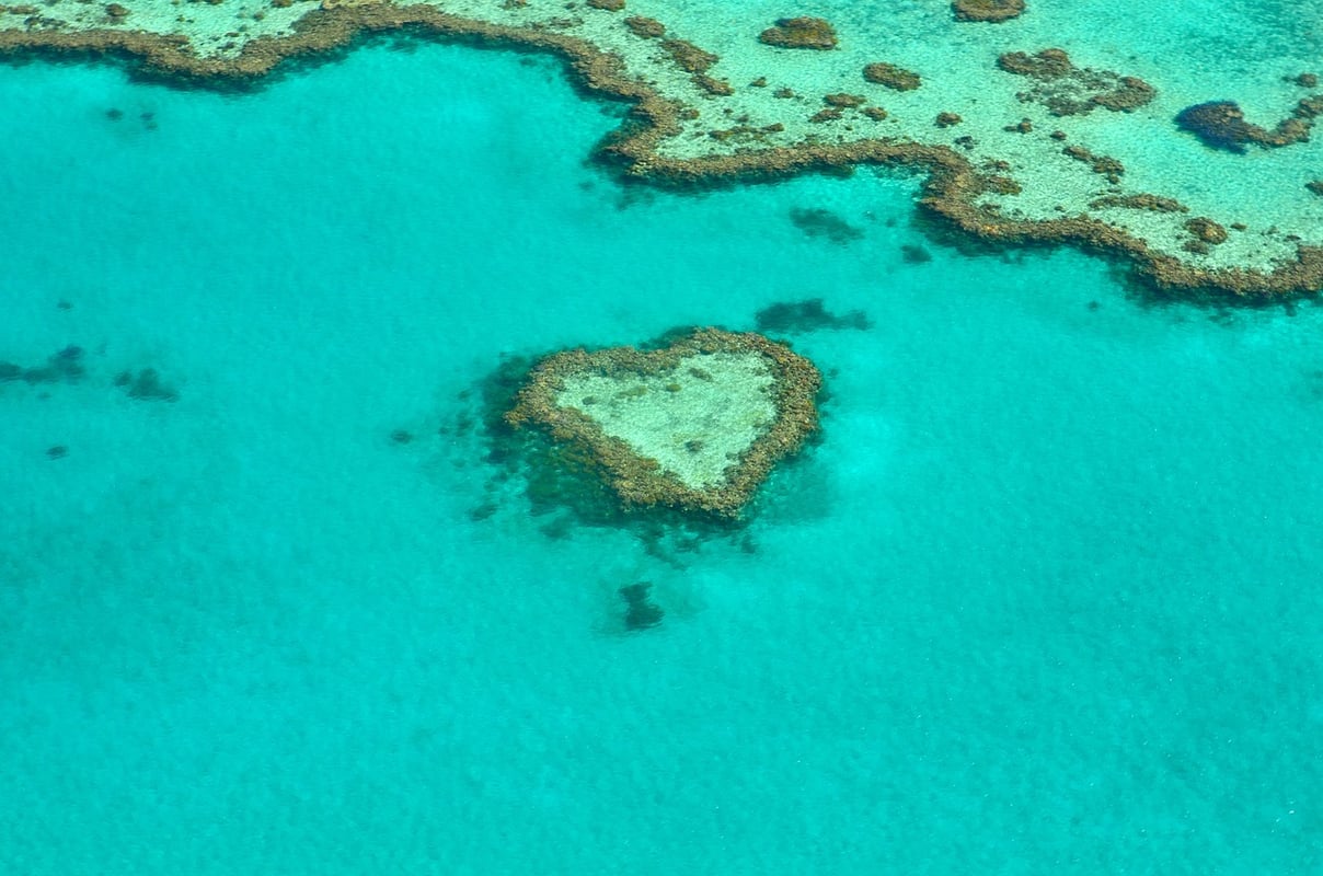 European Union official shares alarming facts about threats to Great Barrier Reef  Great Barrier Reef