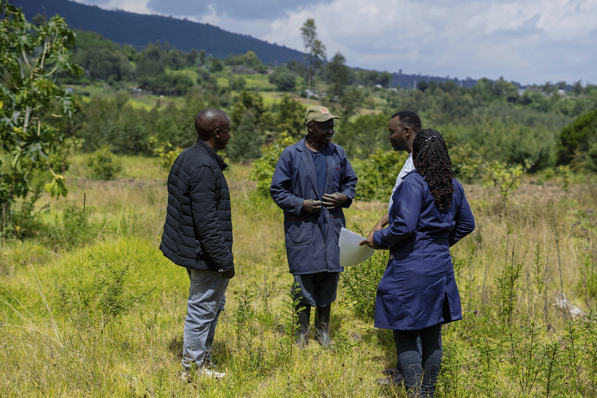 Every tree counts_ monitoring the Hongera Reforestation Project_ DGB team members during tree monitoring_visual 2