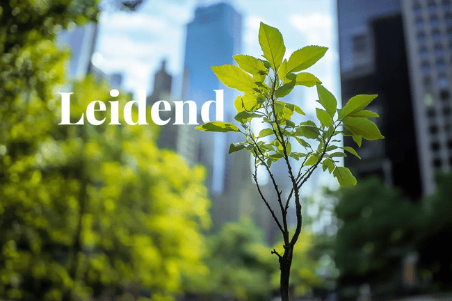 Fortune 500 companies lead the charge toward net zero through carbon credits_Close-up of a young tree in a green square with New York City in the background_visual 1 NL