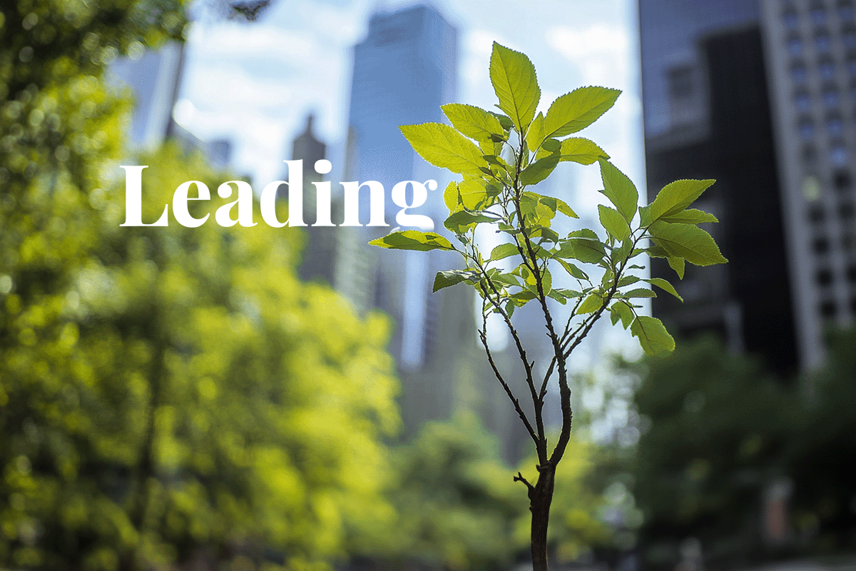 Fortune 500 companies lead the charge toward net zero through carbon credits_Close-up of a young tree in a green square with New York City in the background_visual 1