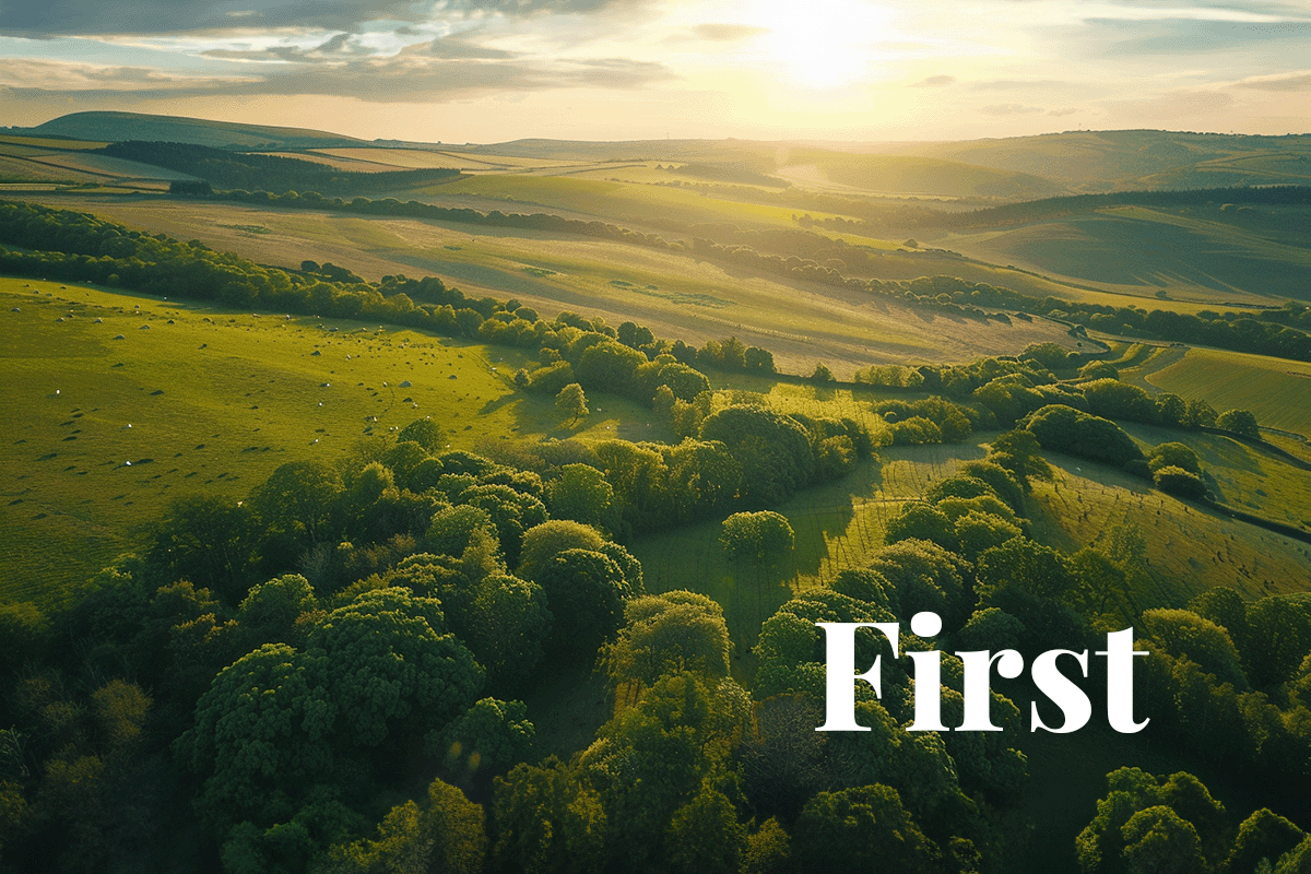 Gaming giant leads the way in UK’s first biodiversity credit sale_Aerial view of the lush, green hills of South Downs National Park_visual 1