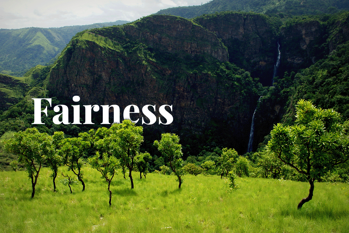 Ghana plans to boost fairness in carbon credit industry_Landscape view of nature around Wli waterfalls in Ghana_visual 1