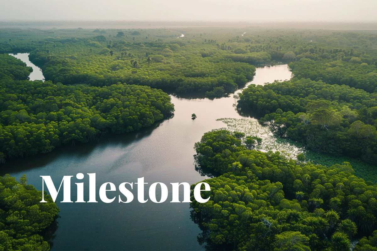 Ghana’s mangrove project marks milestone in carbon credit market_Aerial view of Ghana’s mangroves_visual 1