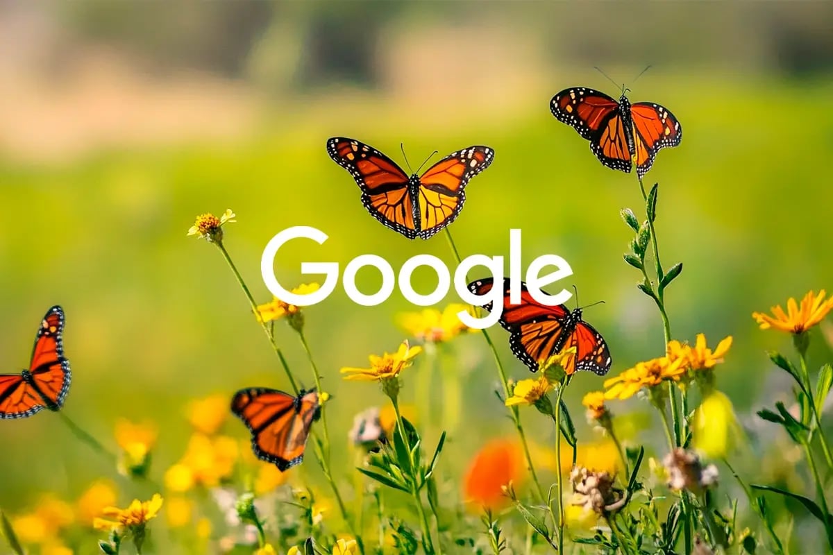 Google’s nature-based strategy_ achieving net zero while enhancing biodiversity_ A close-up of  monarch butterflies flying around California meadows_visual 1