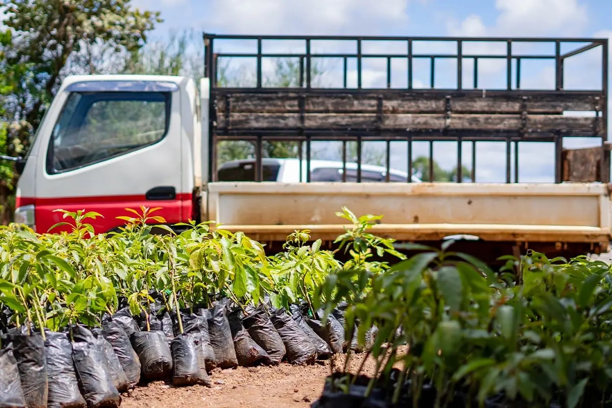 Hongera Reforestation Project achieves Verified Carbon Standard validation_press release_visual 5-1