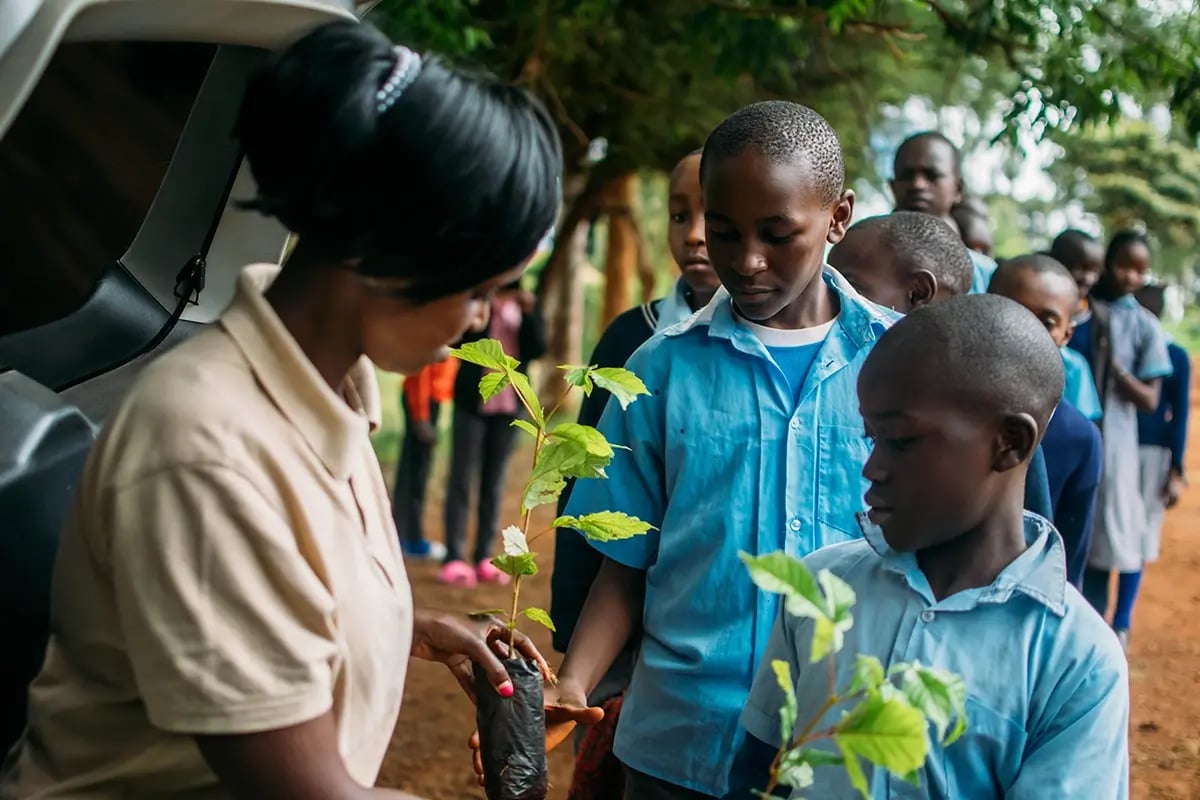 Hongera Reforestation Project achieves Verified Carbon Standard validation_press release_visual 5