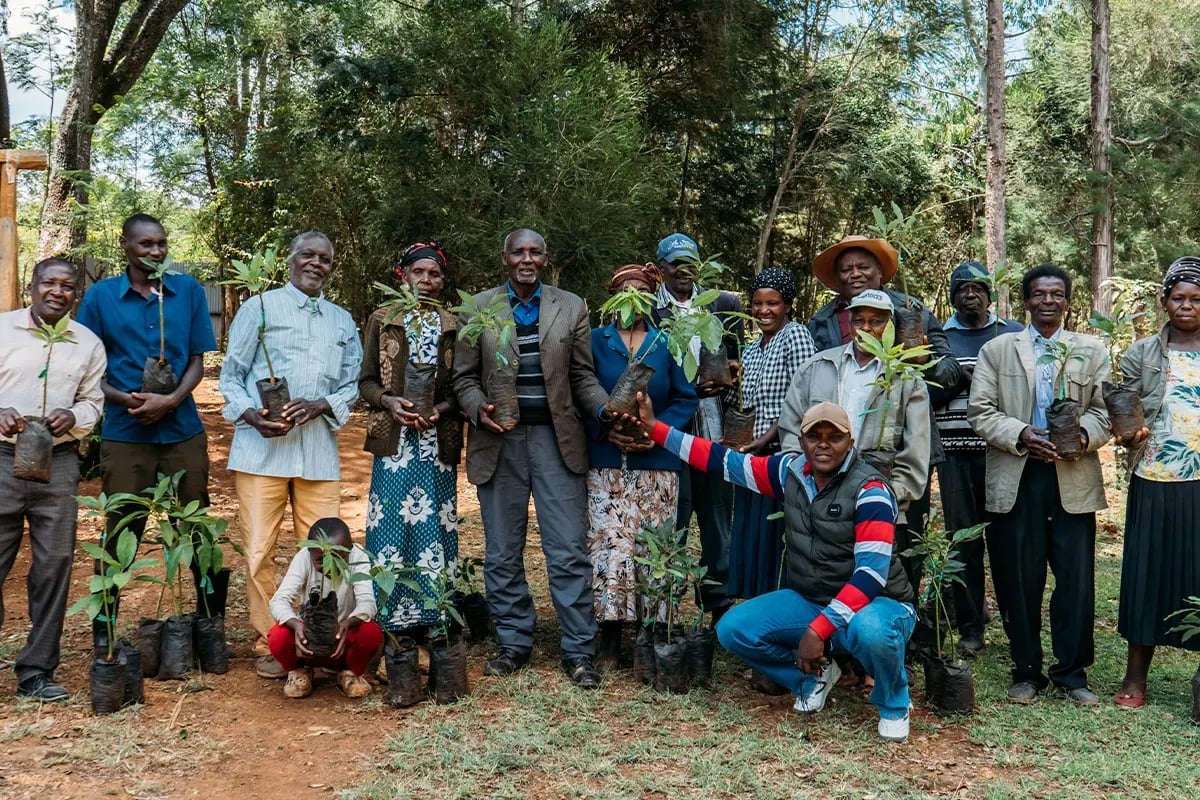 Hongera Reforestation Project achieves Verified Carbon Standard validation_press release_visual 8