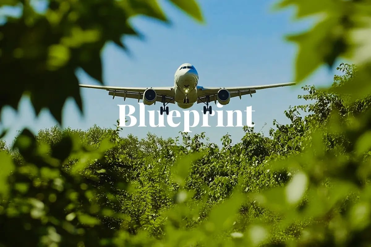 ICAO sets stricter rules for carbon offset registries in aviation_A view from behind bushes of a plane taking off_visual 1