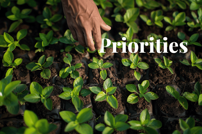 IEMA endorses urgent call for net-zero skills and nature-based solutions_Top view of young tree seedlings in soil bags_visual 1 (1)