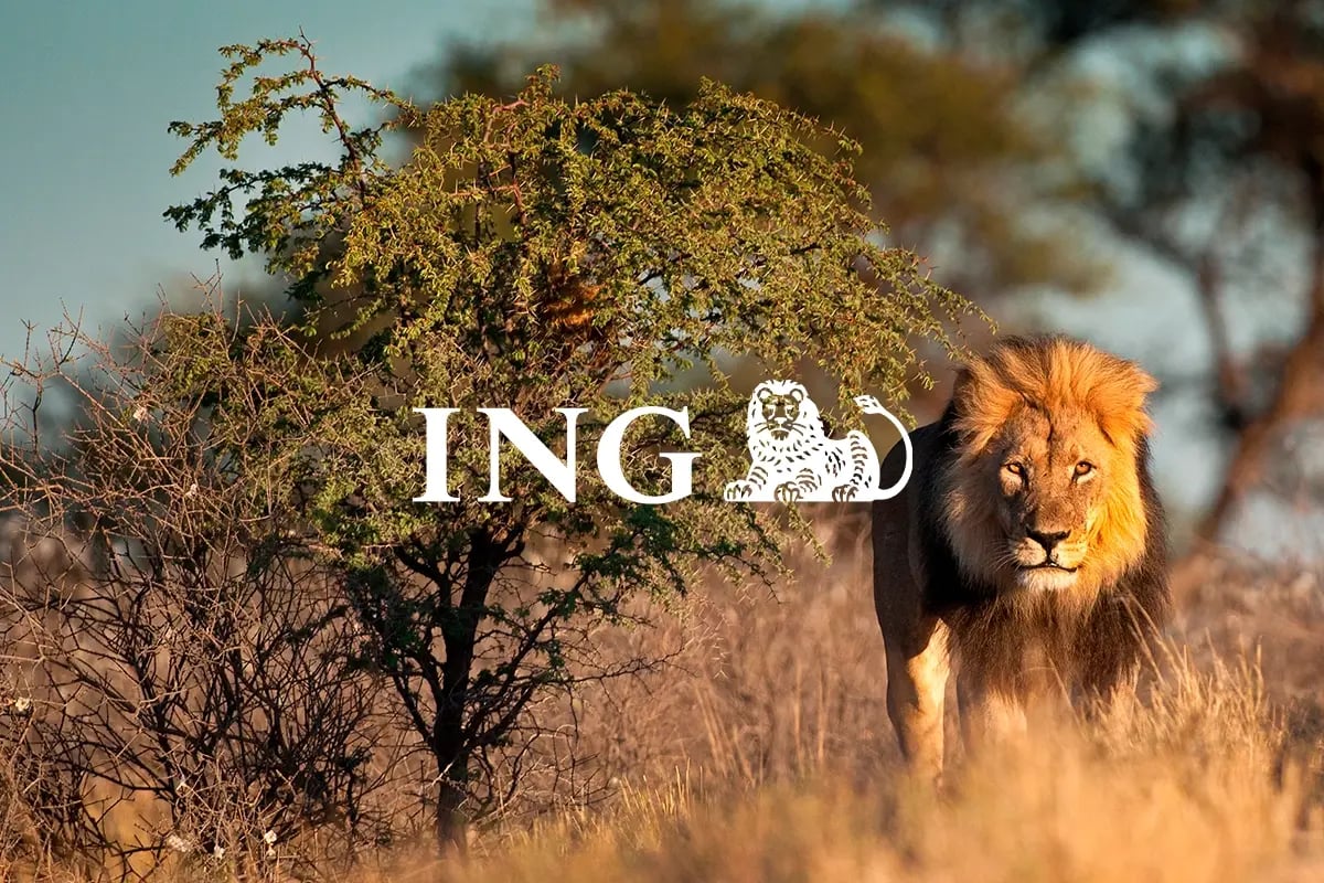 ING Group_visual 1