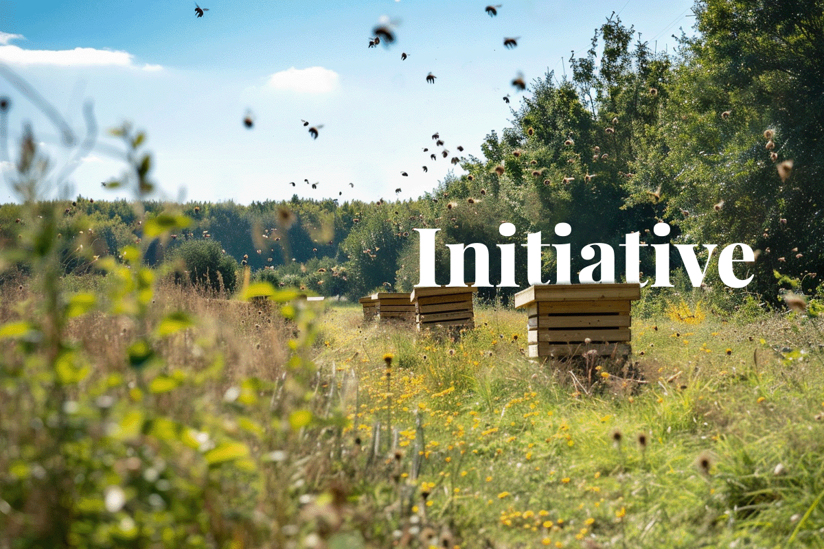 Italian nature tech firm unveils biodiversity credit initiative_Bees flying in a meadow, beehives and a small forest in the background_visual 1