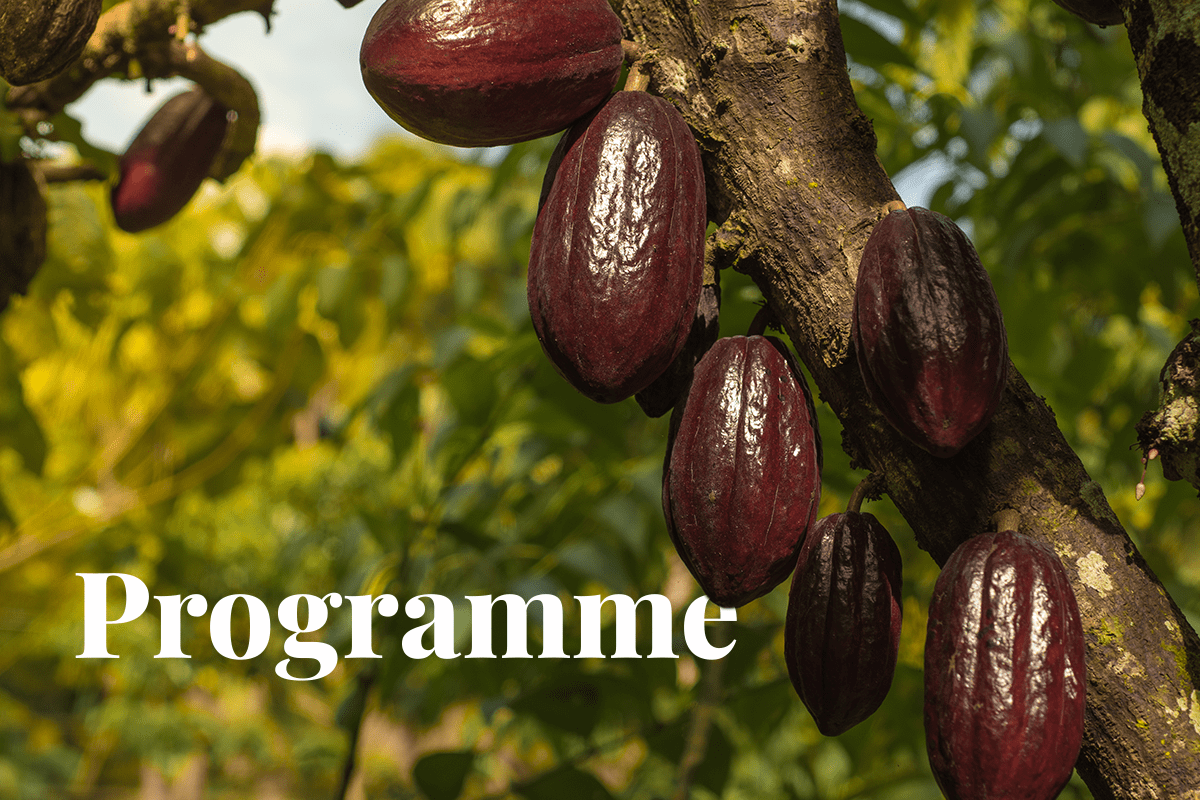 Kennemer Group Cacao-based agroforestry program Nature-based solutions Carbon credits Mindanao Smallholder farmers Sustainable livelihoods_visual 1