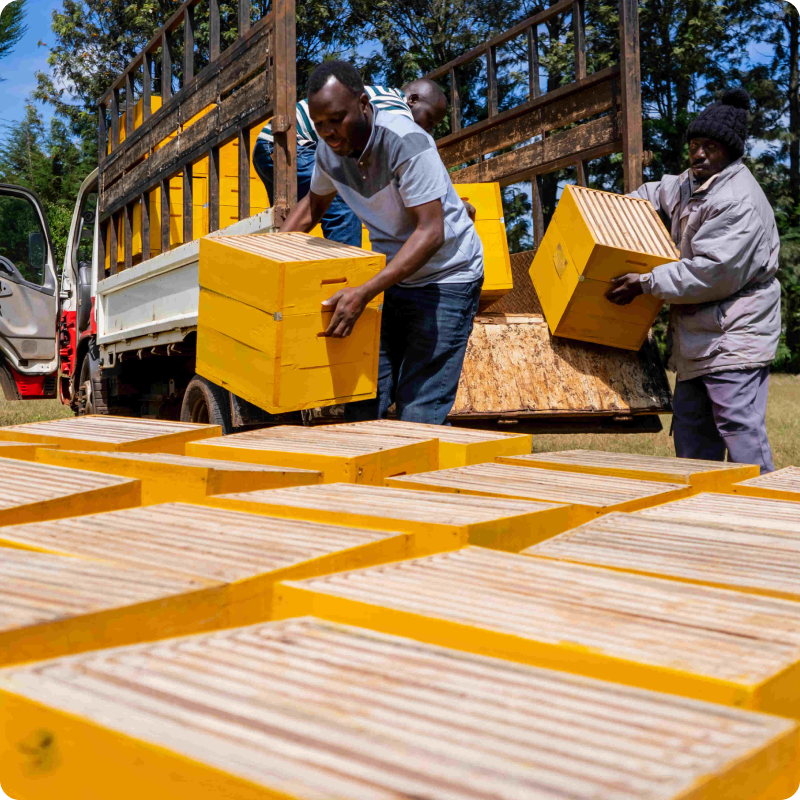 Kenya Honey Bees Project_gallery 4