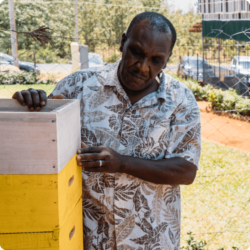 Projet Kenya Honey Bees_gallery 7